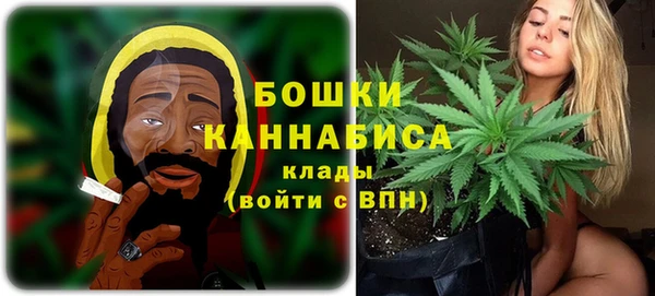 молекула духа Майский