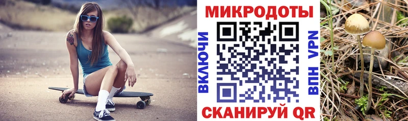 Галлюциногенные грибы мицелий купить наркотик hydra ТОР Комсомольск-на-Амуре