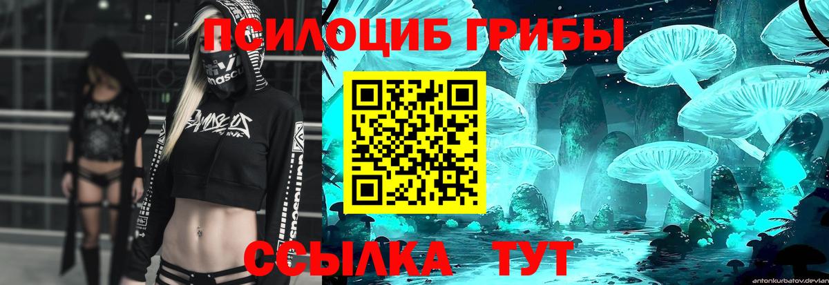 Псилоцибиновые грибы прущие грибы  Галлюциногенные грибы GOLDEN TEACHER  Вход с VPN  Комсомольск-на-Амуре 